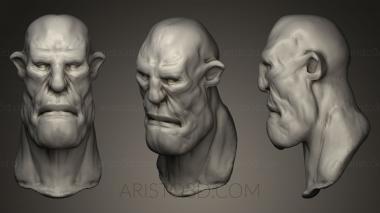 Busts of heroes and monsters (BUSTH_0150) 3D model for CNC machine